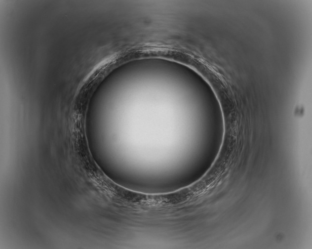 X0000101191351200806271306