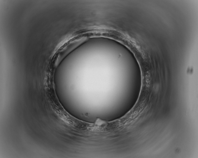 X0000101191352200806271305