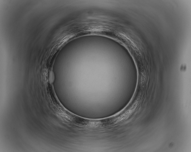 X0000101191353200806271305