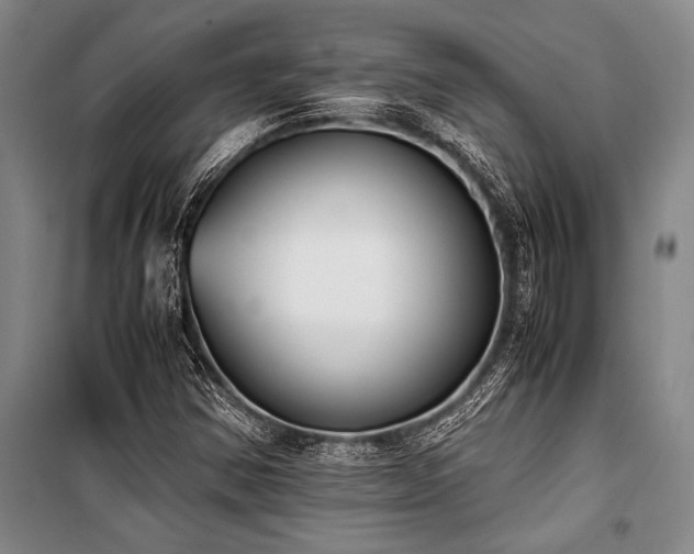 X0000101191354200806271305