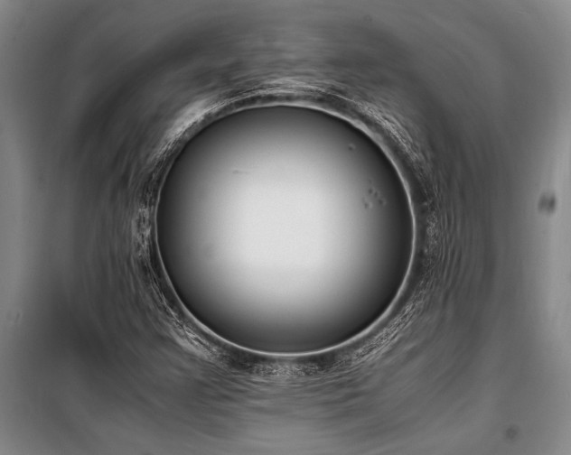 X0000101191355200806271305
