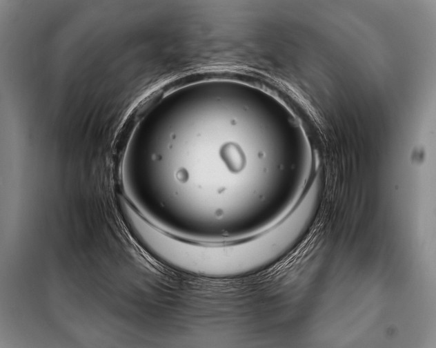 X0000101191356200806271305