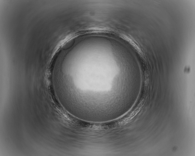 X0000101191357200806271305