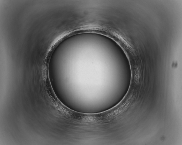 X0000101191358200806271305