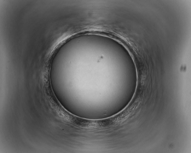 X0000101191359200806271305