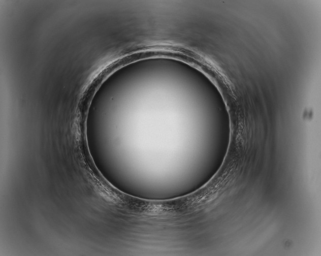 X0000101191360200806271305