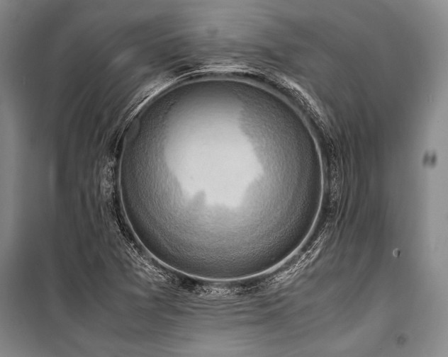 X0000101191361200806271305