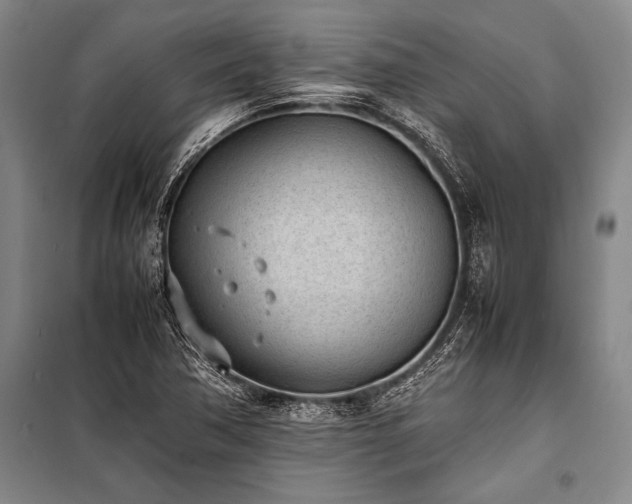 X0000101191362200806271305