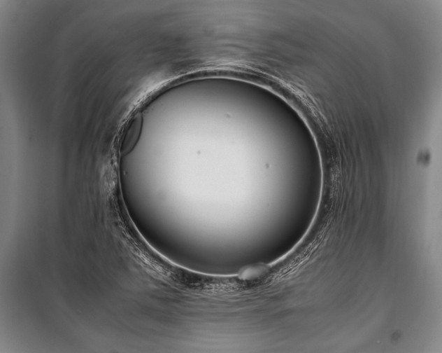 X0000101191363200806271305