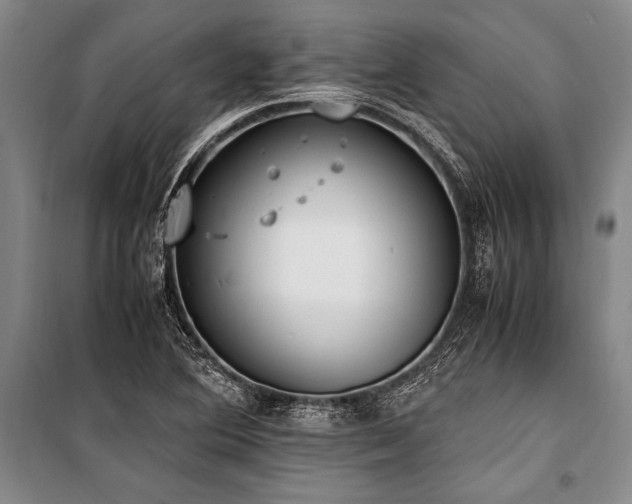 X0000101191364200806271305