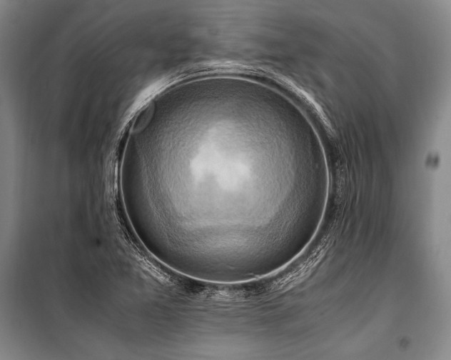 X0000101191365200806271305