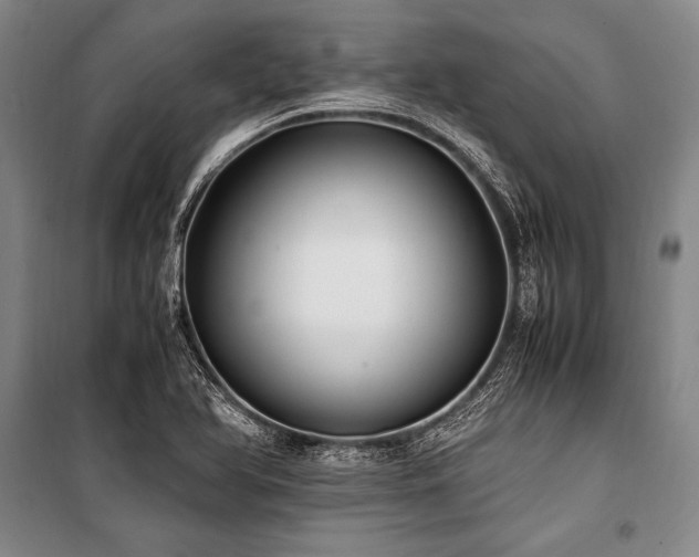 X0000101191366200806271305