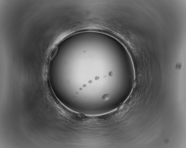 X0000101191367200806271305