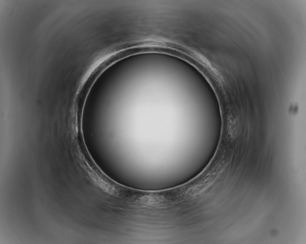 X0000101191368200806271305