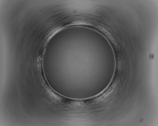 X0000101191369200806271305