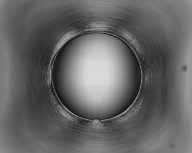 X0000101191370200806271305