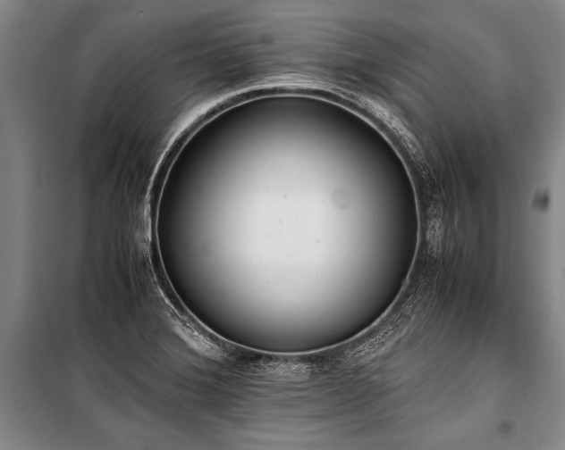 X0000101191372200806271305
