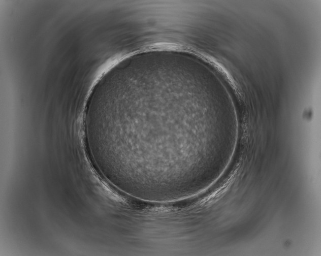 X0000101191373200806271305