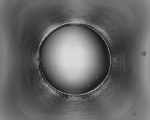 X0000101191374200806271305