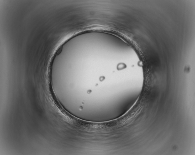 X0000101191375200806271305