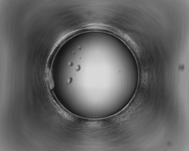 X0000101191376200806271305
