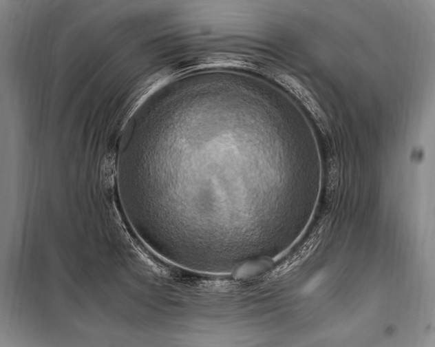 X0000101191377200806271305