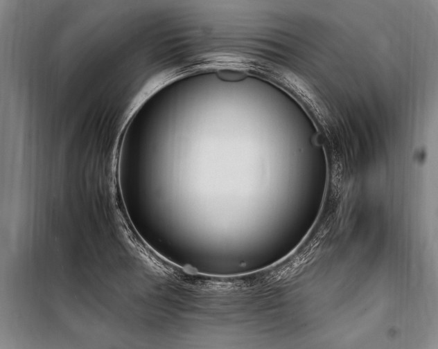 X0000101191378200806271305