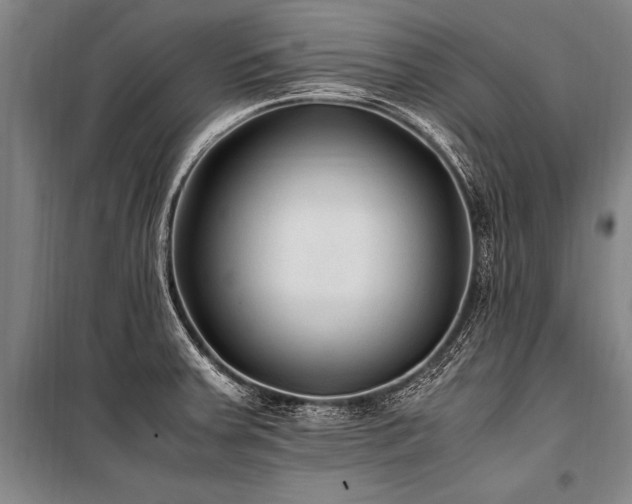 X0000101191379200806271305