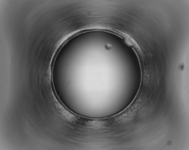 X0000101191380200806271305