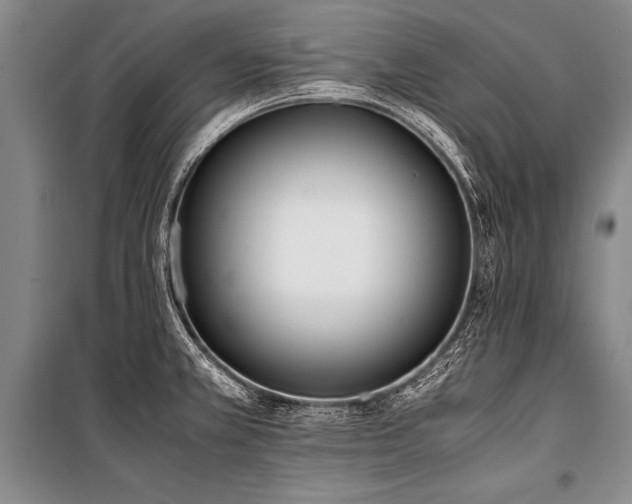 X0000101191381200806271305