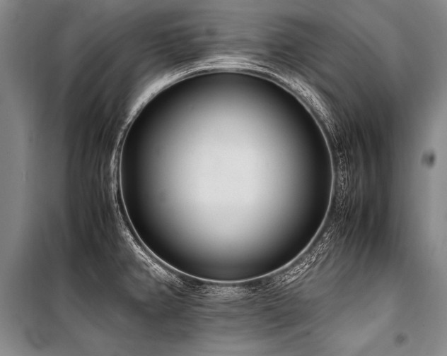 X0000101191382200806271305