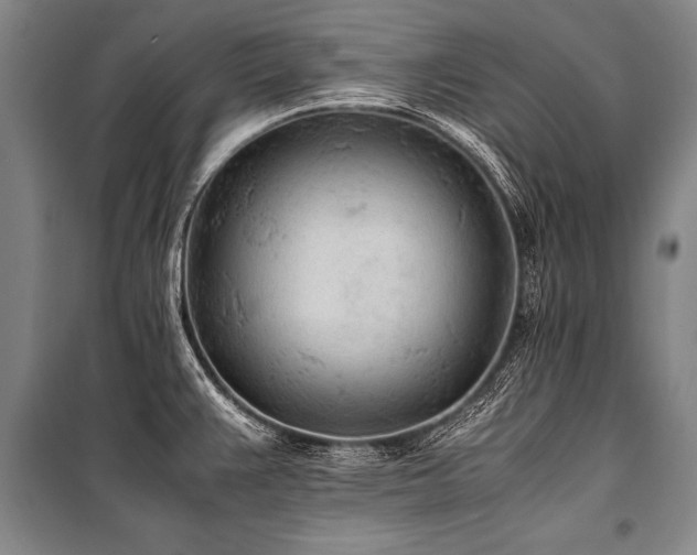 X0000101191383200806271305