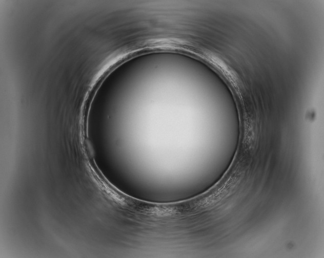 X0000101191384200806271305