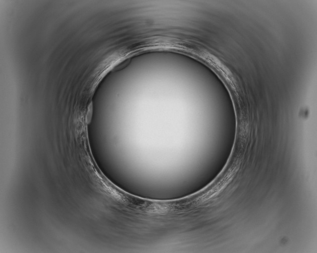 X0000101191385200806271305