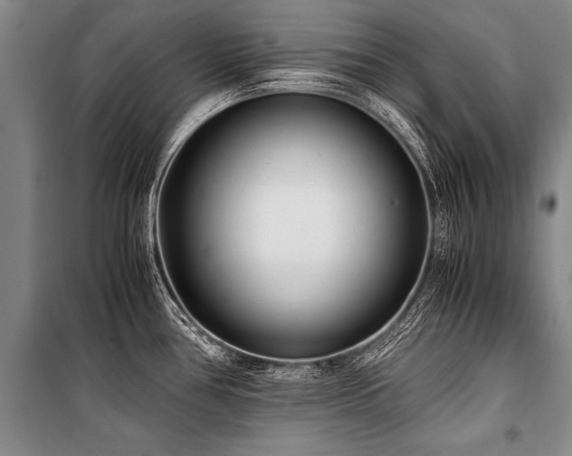 X0000101191386200806271305