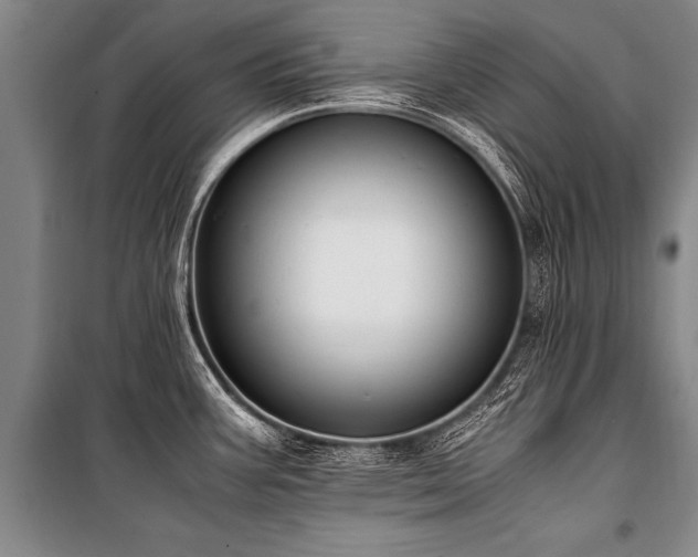 X0000101191387200806271305