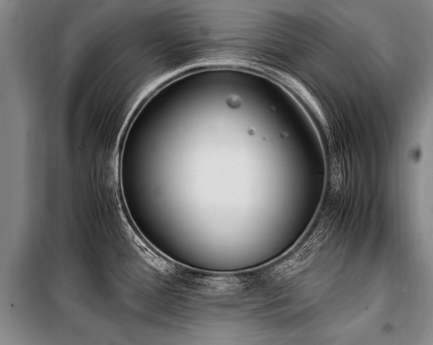 X0000101191388200806271305