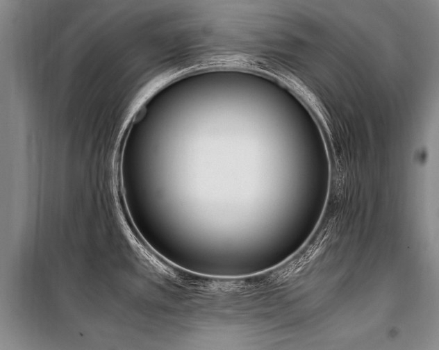 X0000101191389200806271305