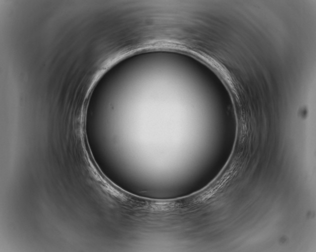 X0000101191390200806271305