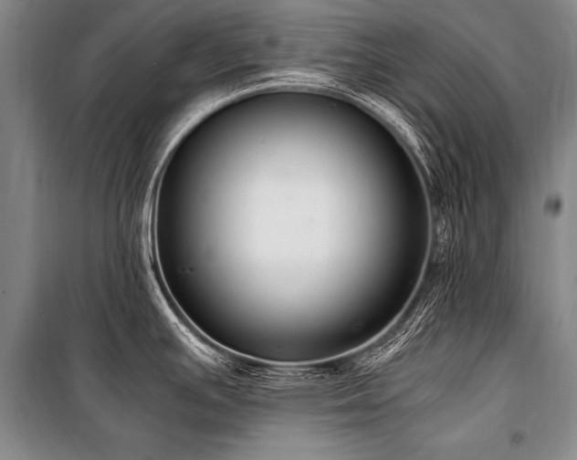 X0000101191391200806271305