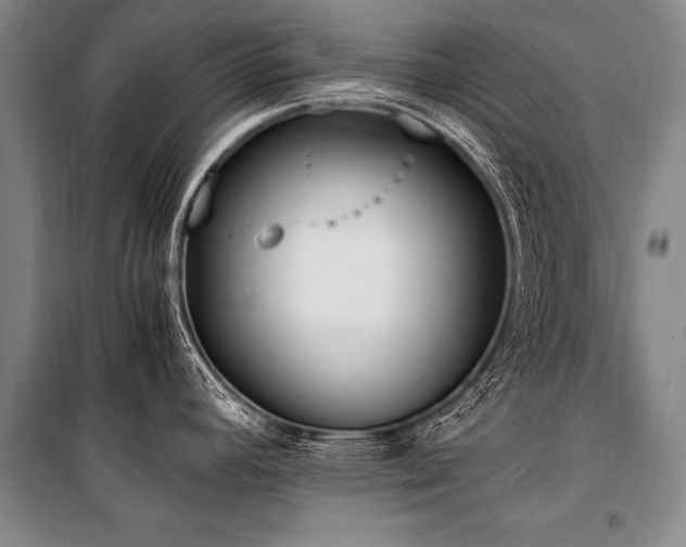 X0000101191392200806271305