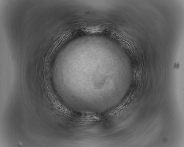 X0000101191393200806271304