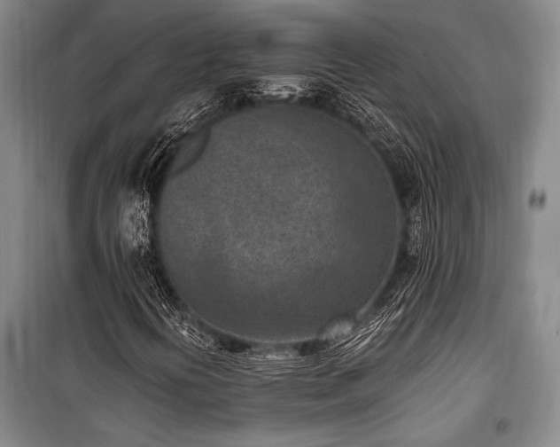 X0000101191394200806271304