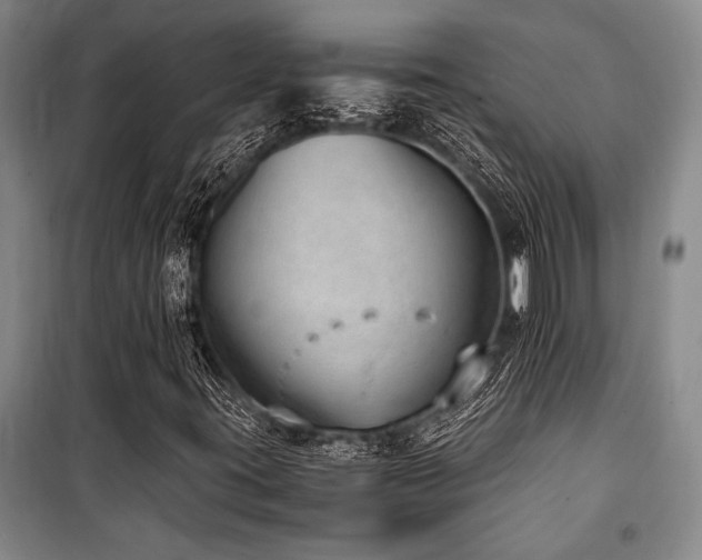 X0000101191395200806271304