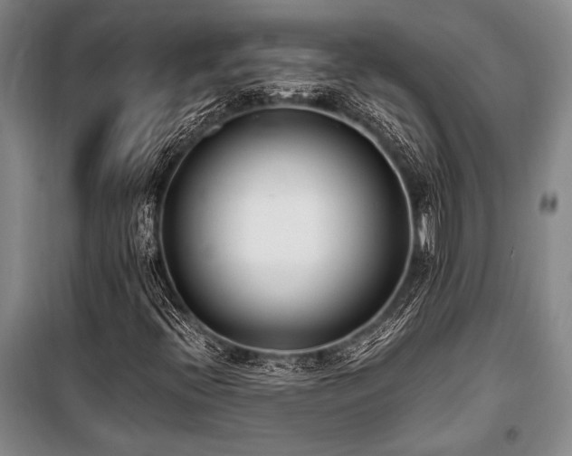 X0000101191396200806271304