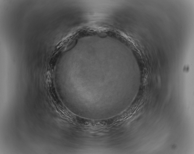 X0000101191397200806271304