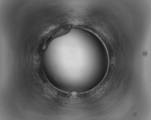 X0000101191398200806271304
