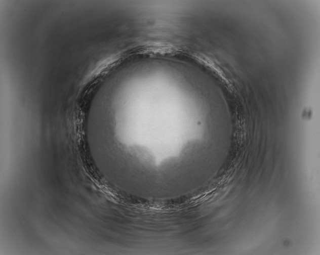 X0000101191399200806271304