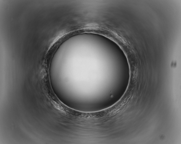 X0000101191400200806271304
