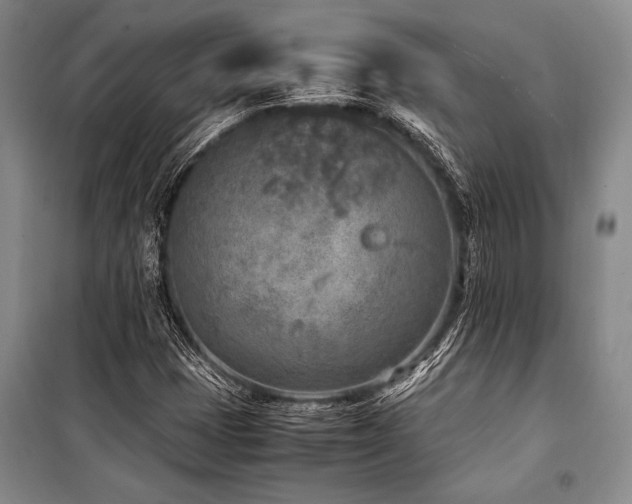 X0000101191401200806271304